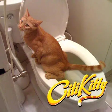 Kitty Loo Training System Gizmo Grove Finds