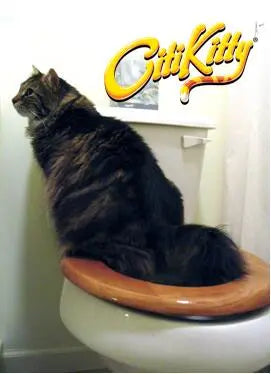 Kitty Loo Training System Gizmo Grove Finds