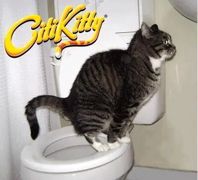 Kitty Loo Training System Gizmo Grove Finds